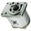 Hydraulique pompe à engrenages BOSCH REXROTH 0 510 625 362 #3 small image