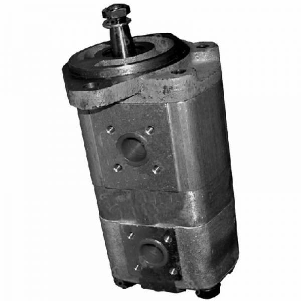 Bucher Pompe Hydraulique Type QX22-006/22-006R #1 image