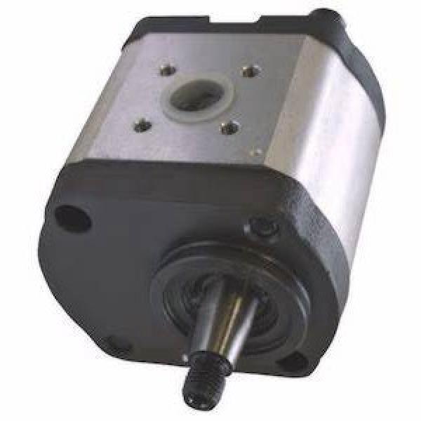 Hydraulique pompe à engrenages BOSCH REXROTH 0 510 645 300 #1 image