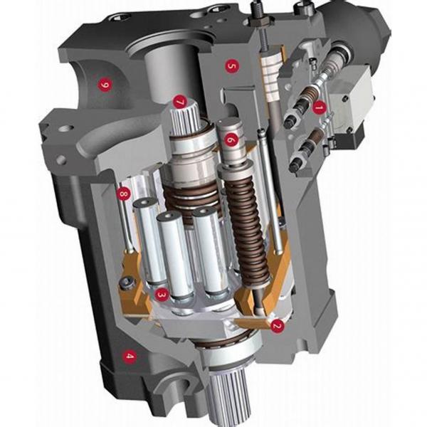50cc / Rev Hydrostatique Hydraulique Piston Pompe 7.545050022 #3 image
