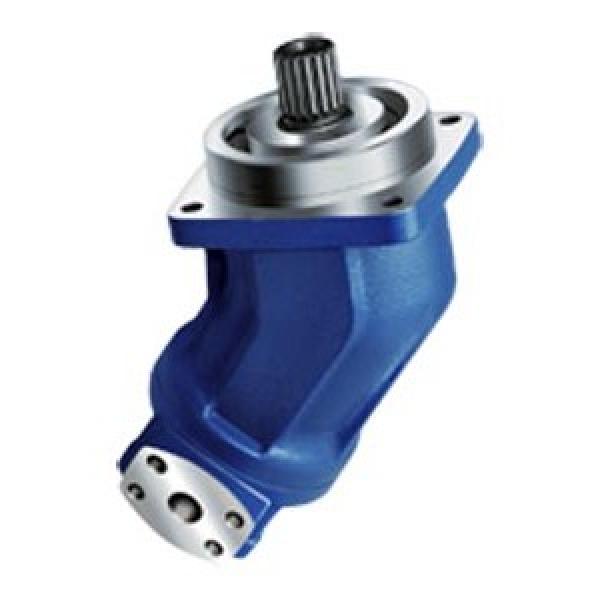 JCB REXROTH pompe hydraulique P/N 334/U0034 #1 image